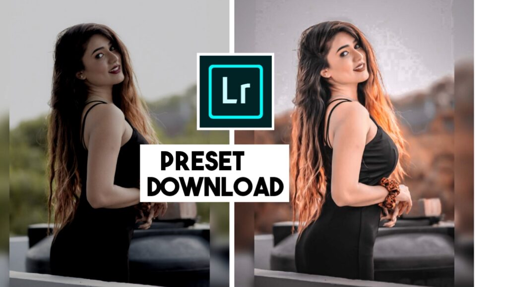 Ligtroom Brown Tone Preset