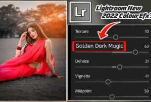 snapseed lightroom photo editing tricks | golden preset free download lightroom