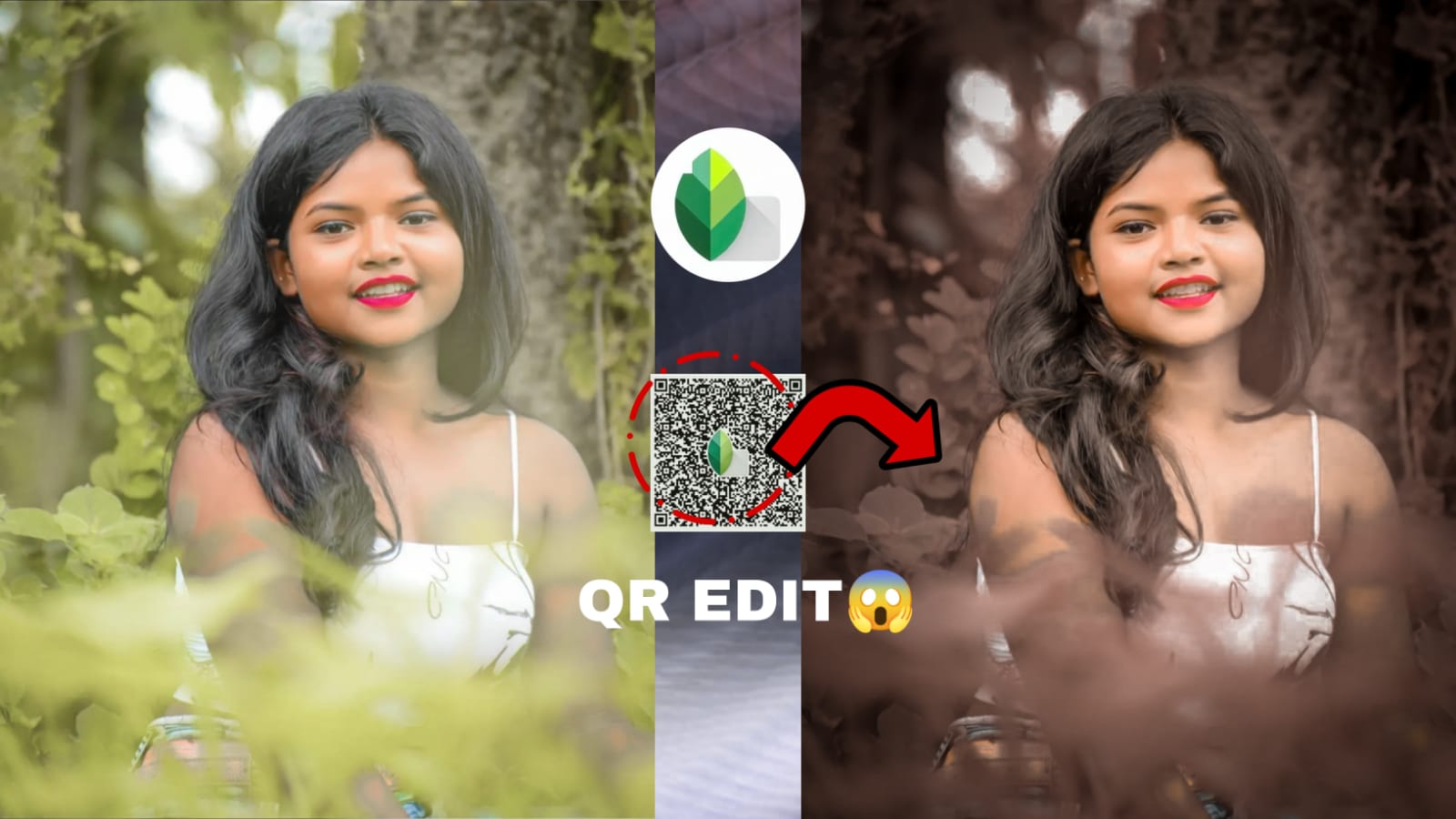 snapseed photo editing presets download light brown qr code download for snapseed photo editing